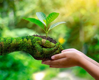همکاری با تشکل های زیست محیطی