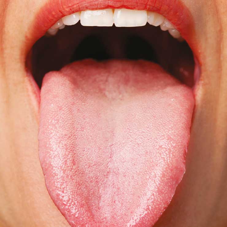 tongue