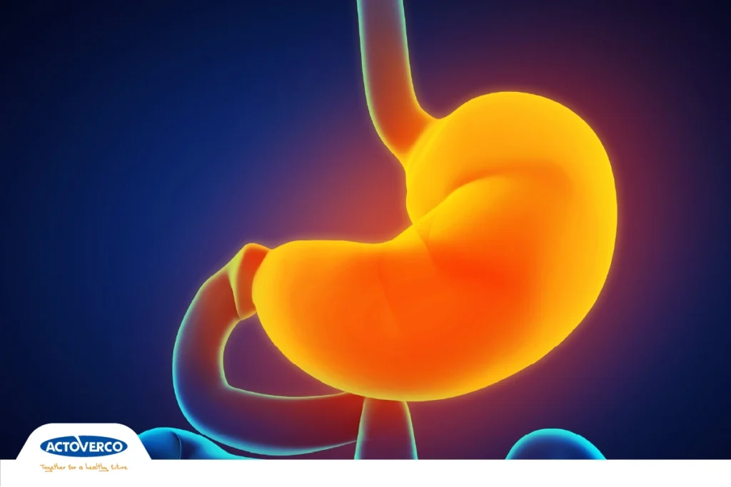 گاستروپارزی