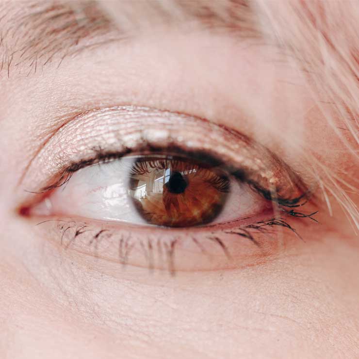 Eyelid-diseases