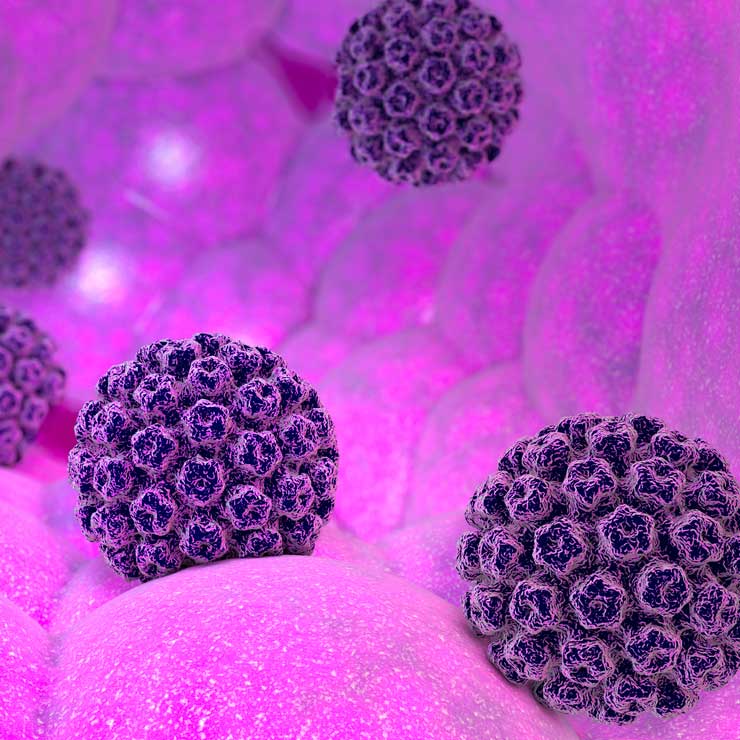 HPV