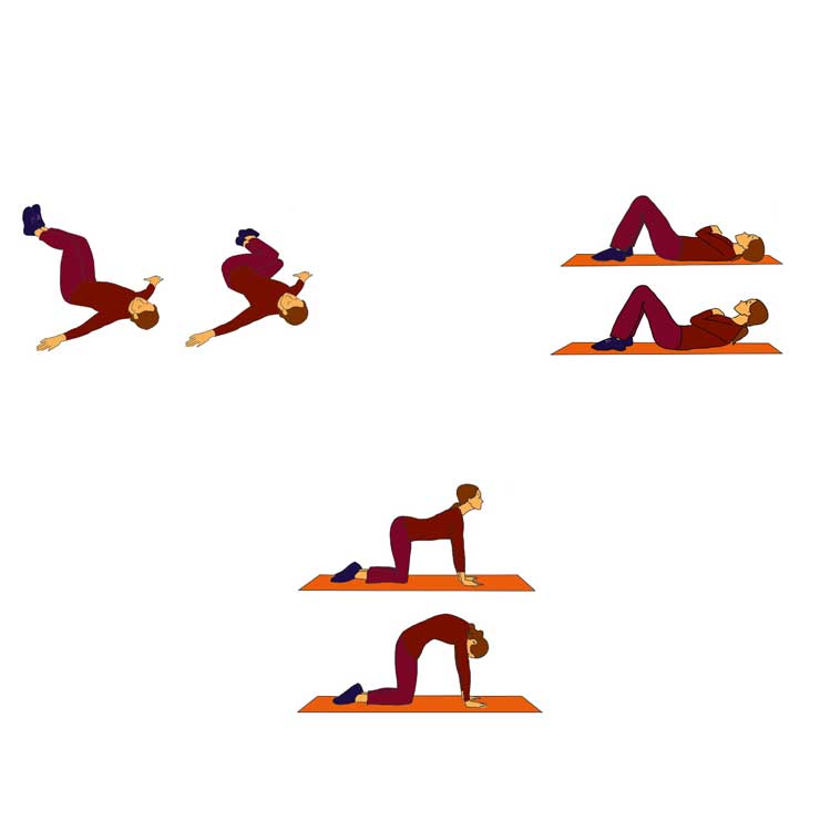 THERAPEUTIC-EXERCISE-PROGRAMS-for-bachache حرکات ورزشی