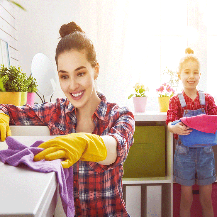house-cleaning house-cleaning