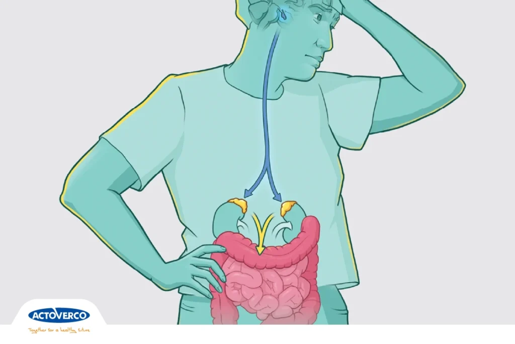 استرس و گوارش