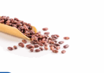 Beans