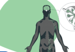 The neuroprotective effects of citicoline.M